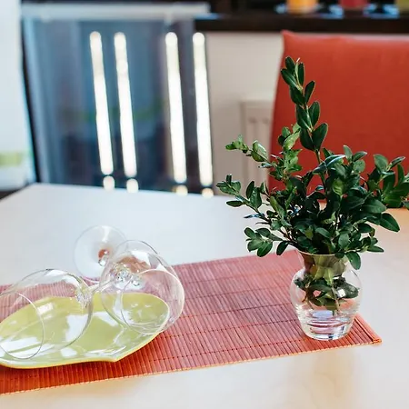 Primulka Apartment